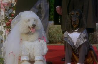 20221113095247_32905 20221113095247_32905