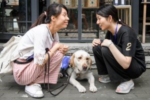军犬 *** 最帅军犬 ***-警犬训练器材厂家 _警犬训练用品_工作犬训练用品-南京开久警犬装备