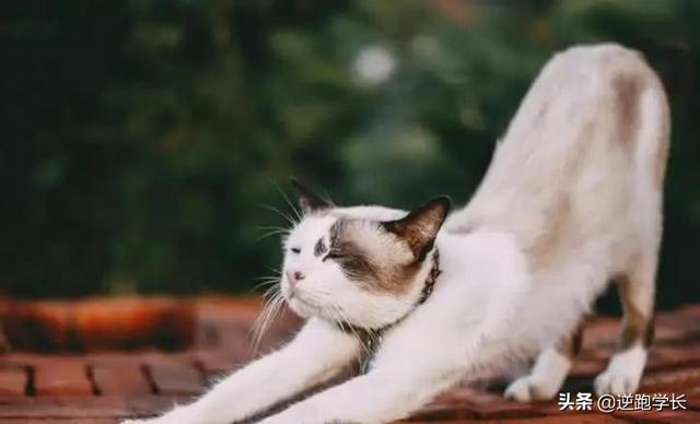 20221113102905_40547