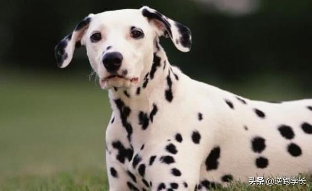 20221113102905_53325