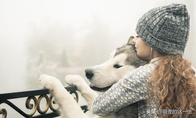 20221113103155_14994