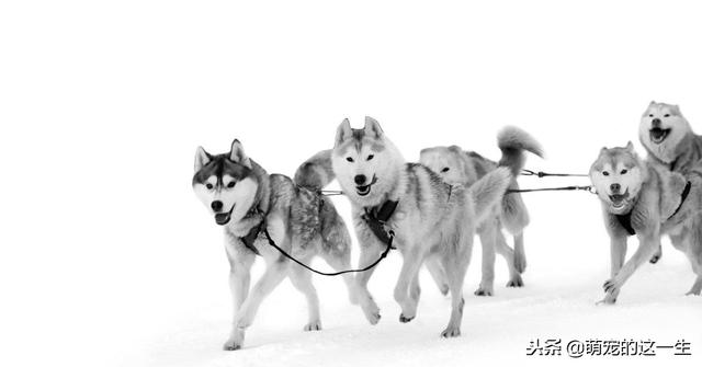 20221113103156_18896