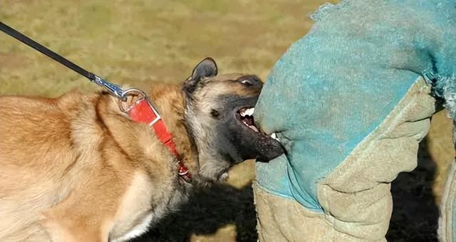 20221113103910_25324 20221113103910_25324