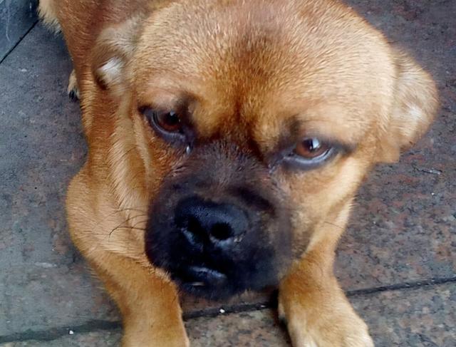 20221113104107_94110