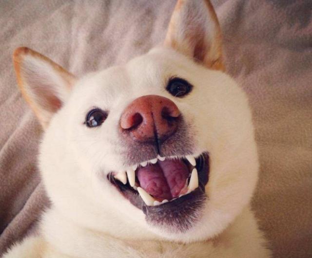 20221113104108_12625