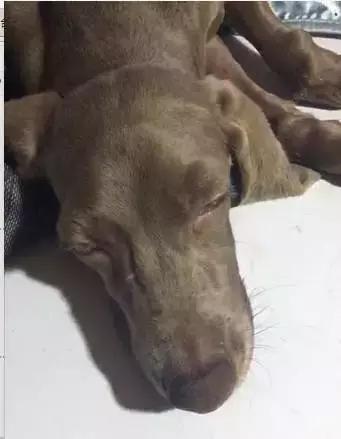 20221113105241_25650 20221113105241_25650