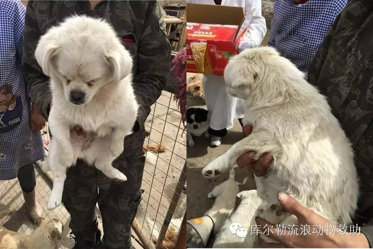 20221113105444_58601