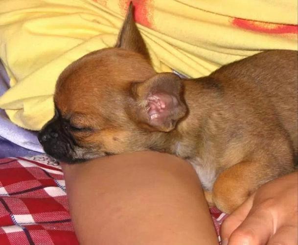 20221113110029_19562