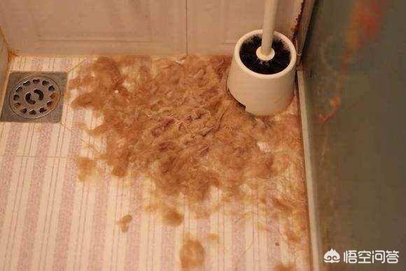 20221113113327_58935 20221113113327_58935