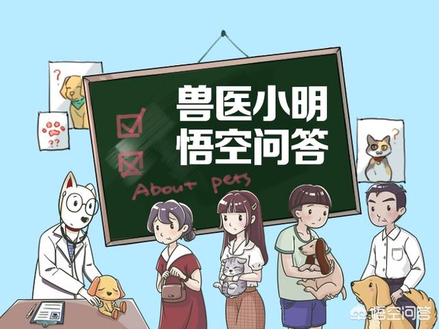 20221113115729_13260