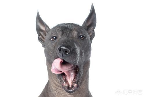 20221113115730_11851