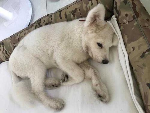 20221113120312_43713