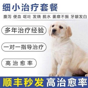 狗狗得了细小的表现症状都有哪些?狗狗常见病 - 警犬训练器材厂家 _警犬训练用品_工作犬训练用品-南京开久警犬装备-警犬训练器材厂家 _警犬训练用品_工作犬训练用品-南京开久警犬装备