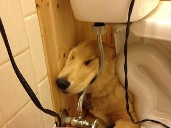 20221113123304_10928