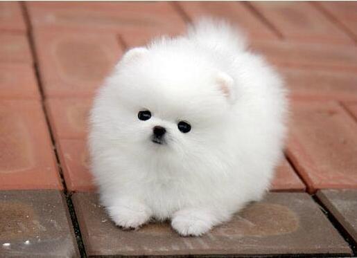 20221113125032_83955 20221113125032_83955