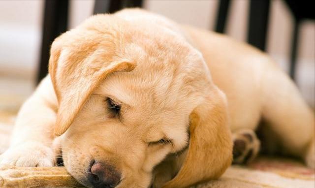 20221113130506_11277