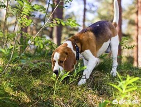 20221113132223_94422 20221113132223_94422