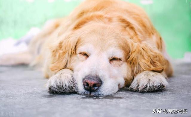 20221113132224_12093 20221113132224_12093