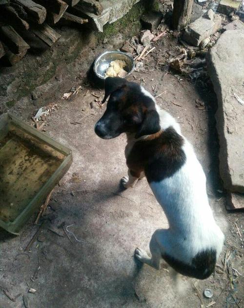 20221113132441_63805