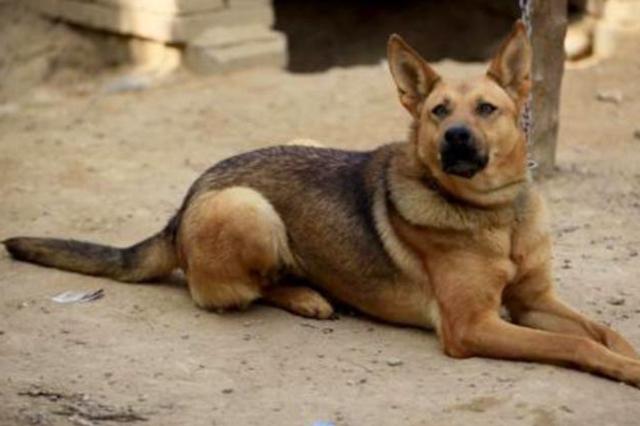 20221113134310_40662