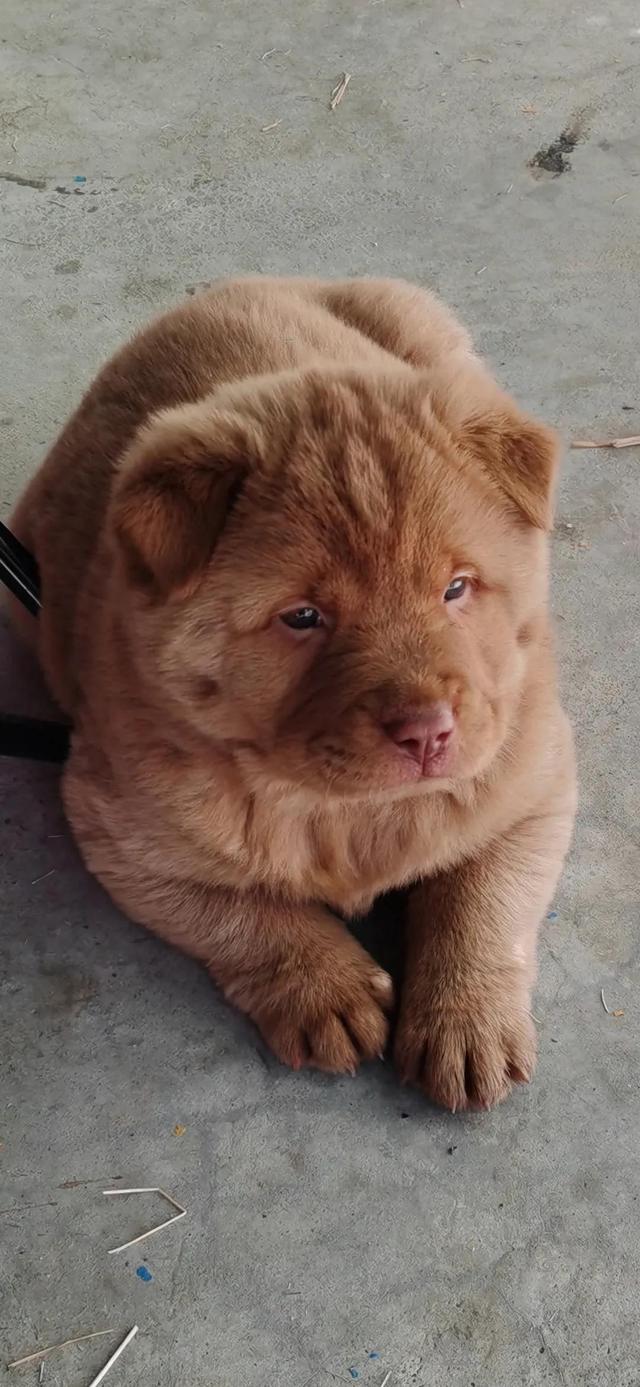 20221113135807_91298