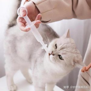 狗狗为什么要驱虫(狗狗为什么要经常驱虫)-警犬训练器材厂家 _警犬训练用品_工作犬训练用品-南京开久警犬装备