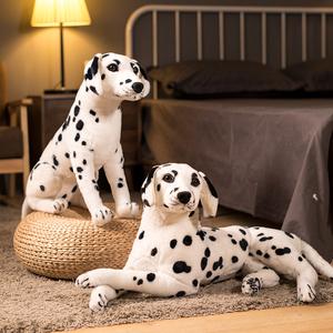 纯种斑点狗多少钱斑点狗纯种多少钱一只-警犬训练器材厂家 _警犬训练用品_工作犬训练用品-南京开久警犬装备