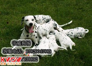 20221113151018_91346