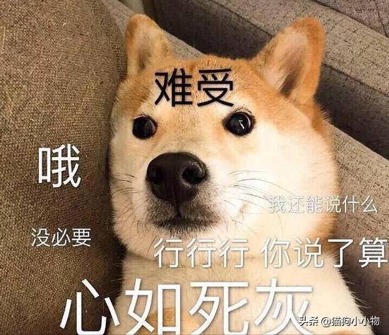 20221113151425_70695