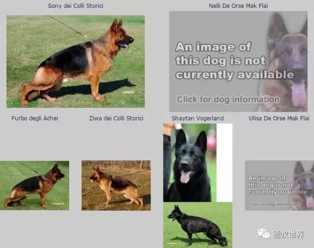 20221113151809_25426 20221113151809_25426