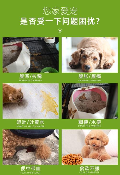 20221113152015_83982 20221113152015_83982