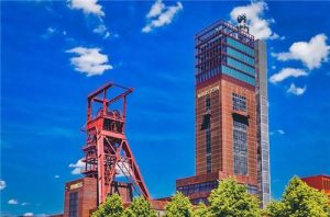 狗瘟早期症状是什么样子的?狗瘟拉屎是什么样子的-警犬训练器材厂家 _警犬训练用品_工作犬训练用品-南京开久警犬装备