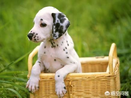 20221113162125_51462