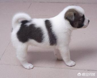 20221113162125_88916