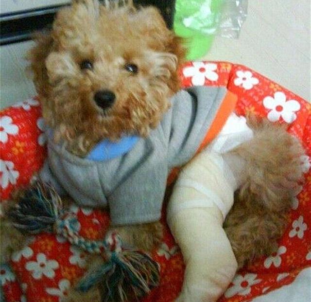 20221113163253_20341 20221113163253_20341