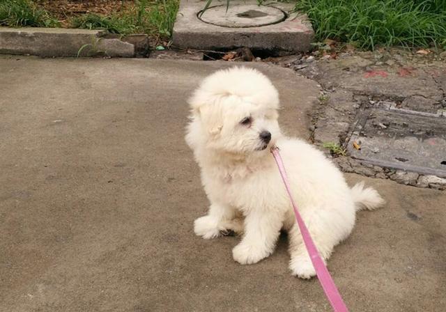 20221113163254_95336 20221113163254_95336