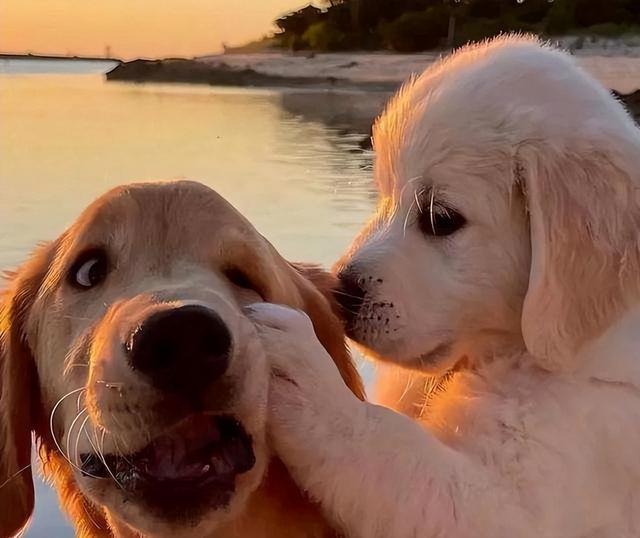 20221113163836_31726