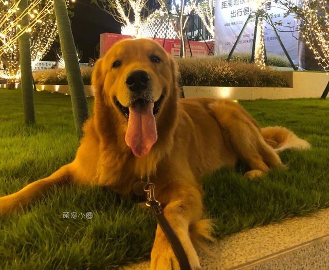 20221113164000_59076