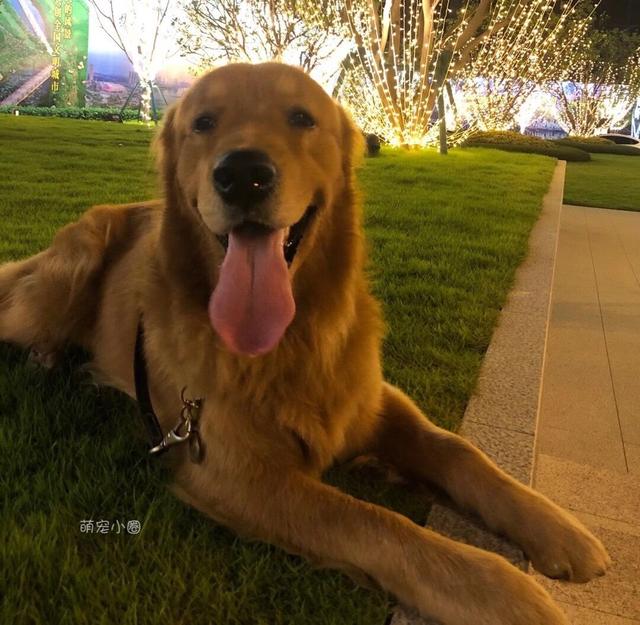 20221113164001_47246