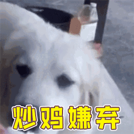 狗屎怎么处理垃圾分类后狗屎应该怎么处理-警犬训练器材厂家 _警犬训练用品_工作犬训练用品-南京开久警犬装备