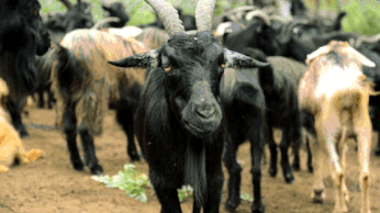 20221113164645_21807 20221113164645_21807