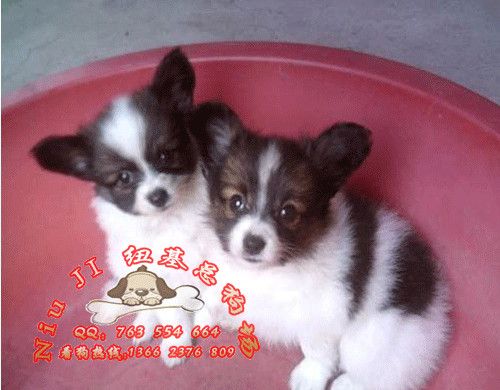 20221113165452_55498 20221113165452_55498