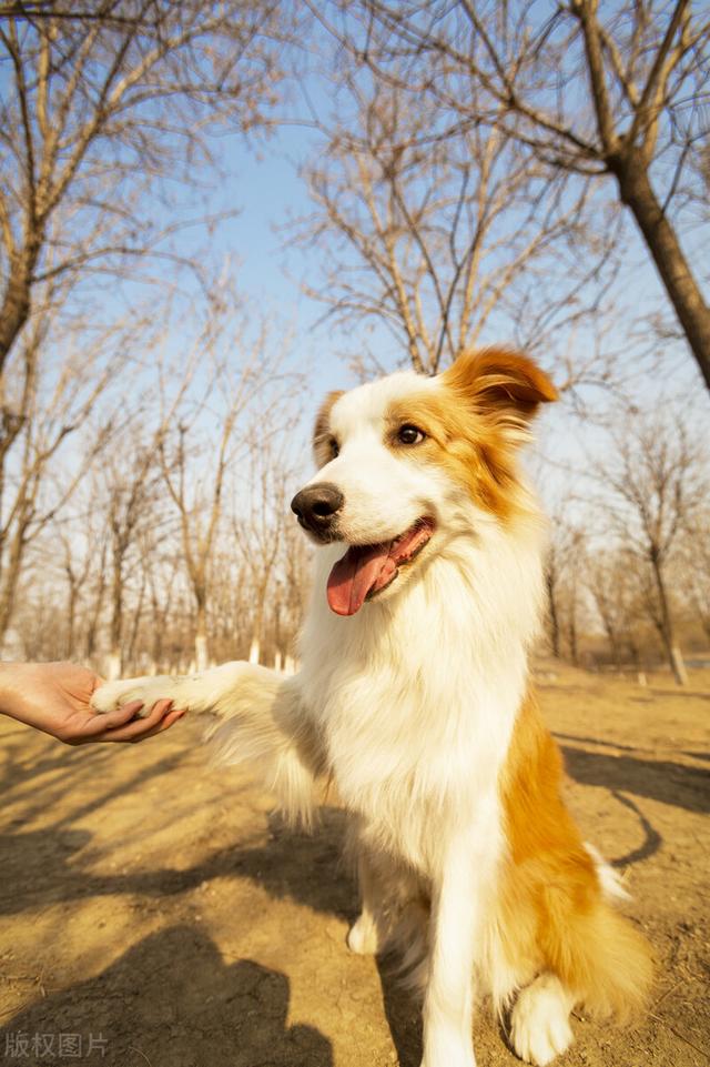 20221113170004_18587 20221113170004_18587