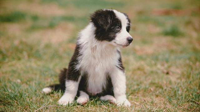 20221113170004_67756 20221113170004_67756