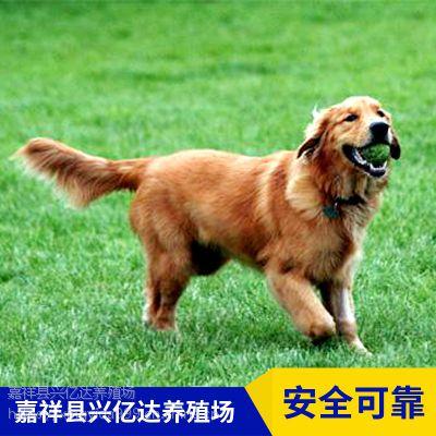 20221113170138_50319 20221113170138_50319