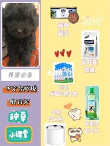 养狗用品清单(新手养狗必备清单)-警犬训练器材厂家 _警犬训练用品_工作犬训练用品-南京开久警犬装备