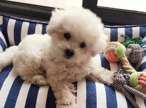 20221113170855_90345