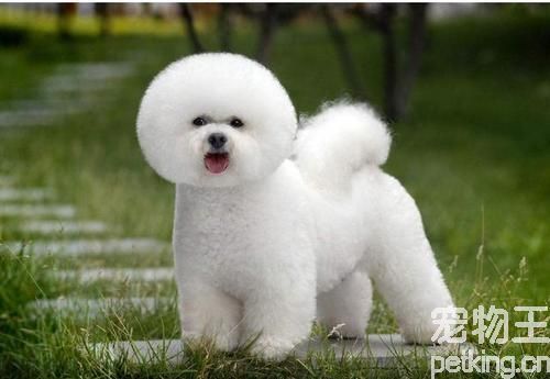 20221113170856_69879