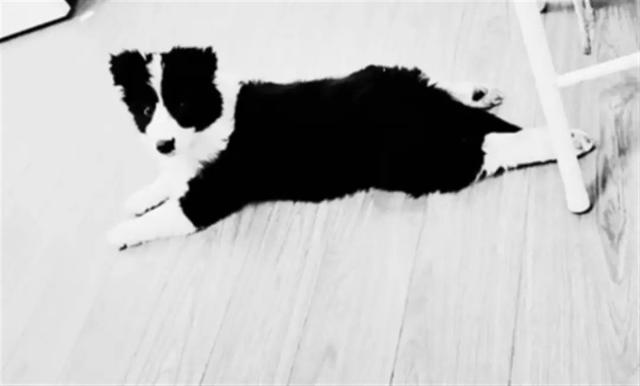 20221113175834_80700 20221113175834_80700