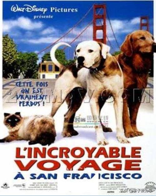 20221113180902_56023